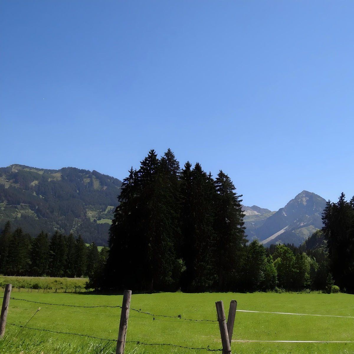 Gästehaus / Ferienwohnung Schemminger Fischen im Allgäu